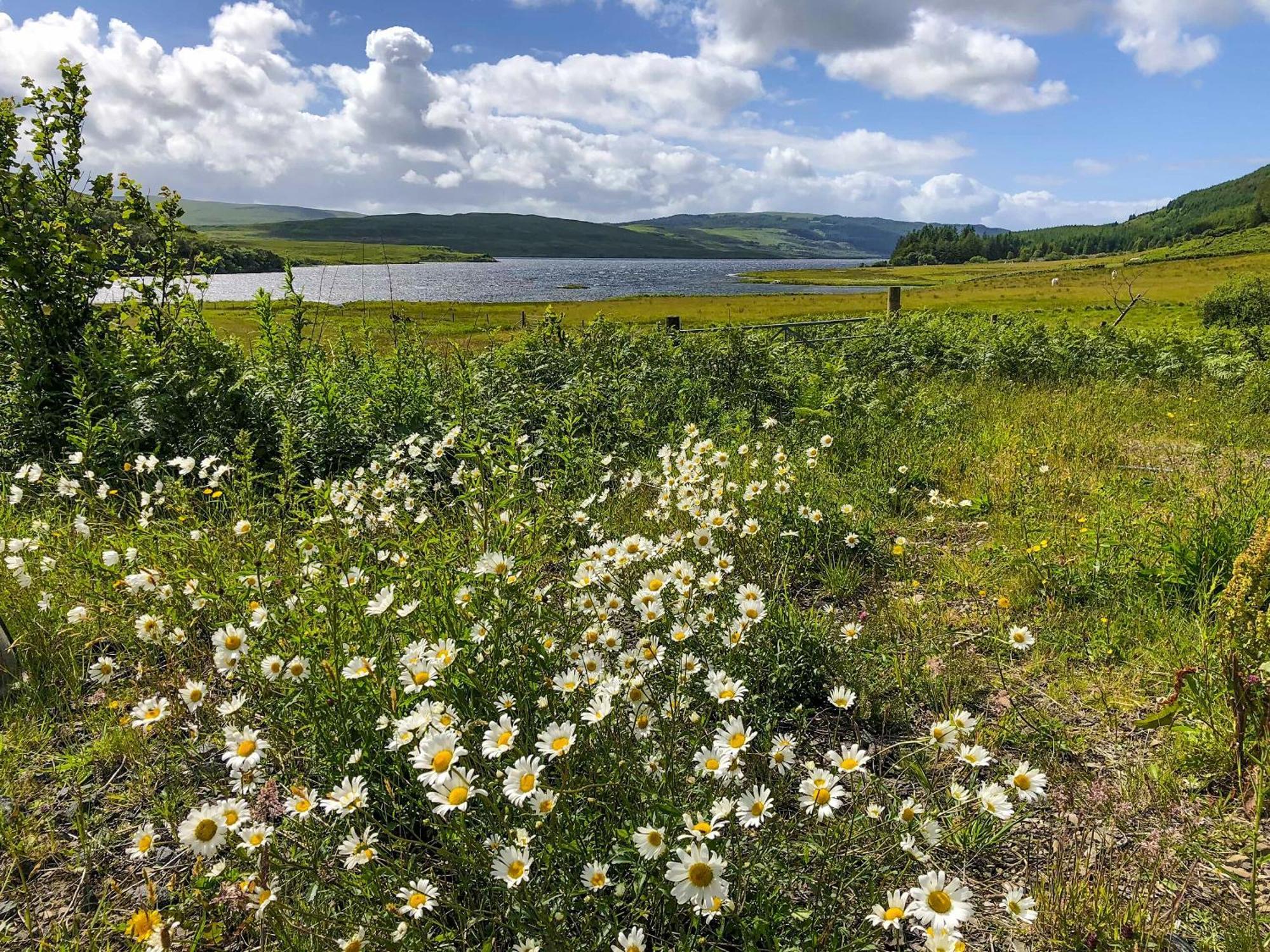 Вилла Ledmore Ardnacross Farm Экстерьер фото