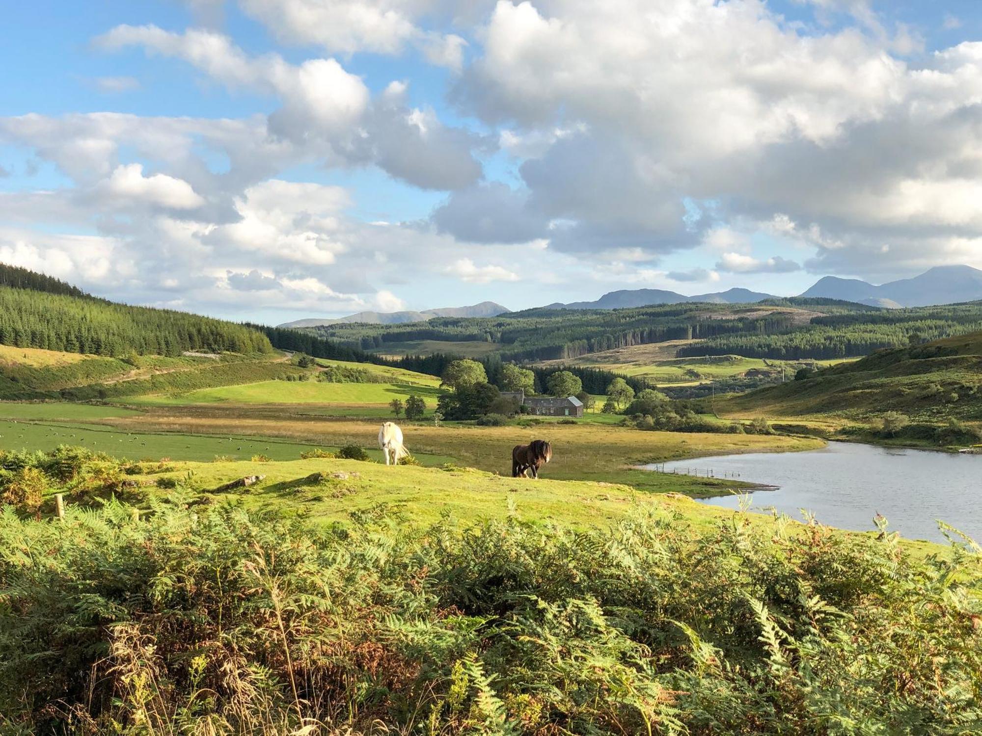 Вилла Ledmore Ardnacross Farm Экстерьер фото