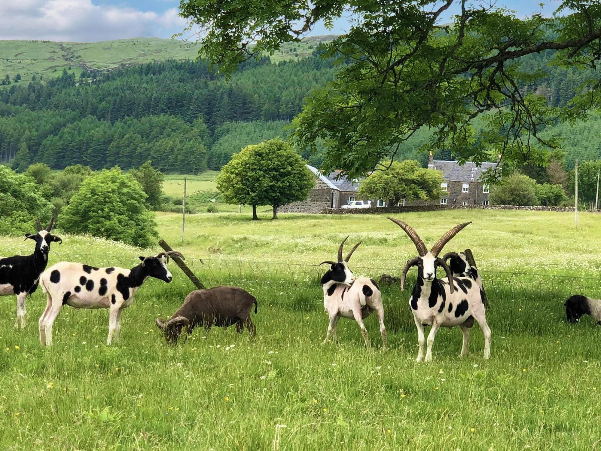 Вилла Ledmore Ardnacross Farm Экстерьер фото